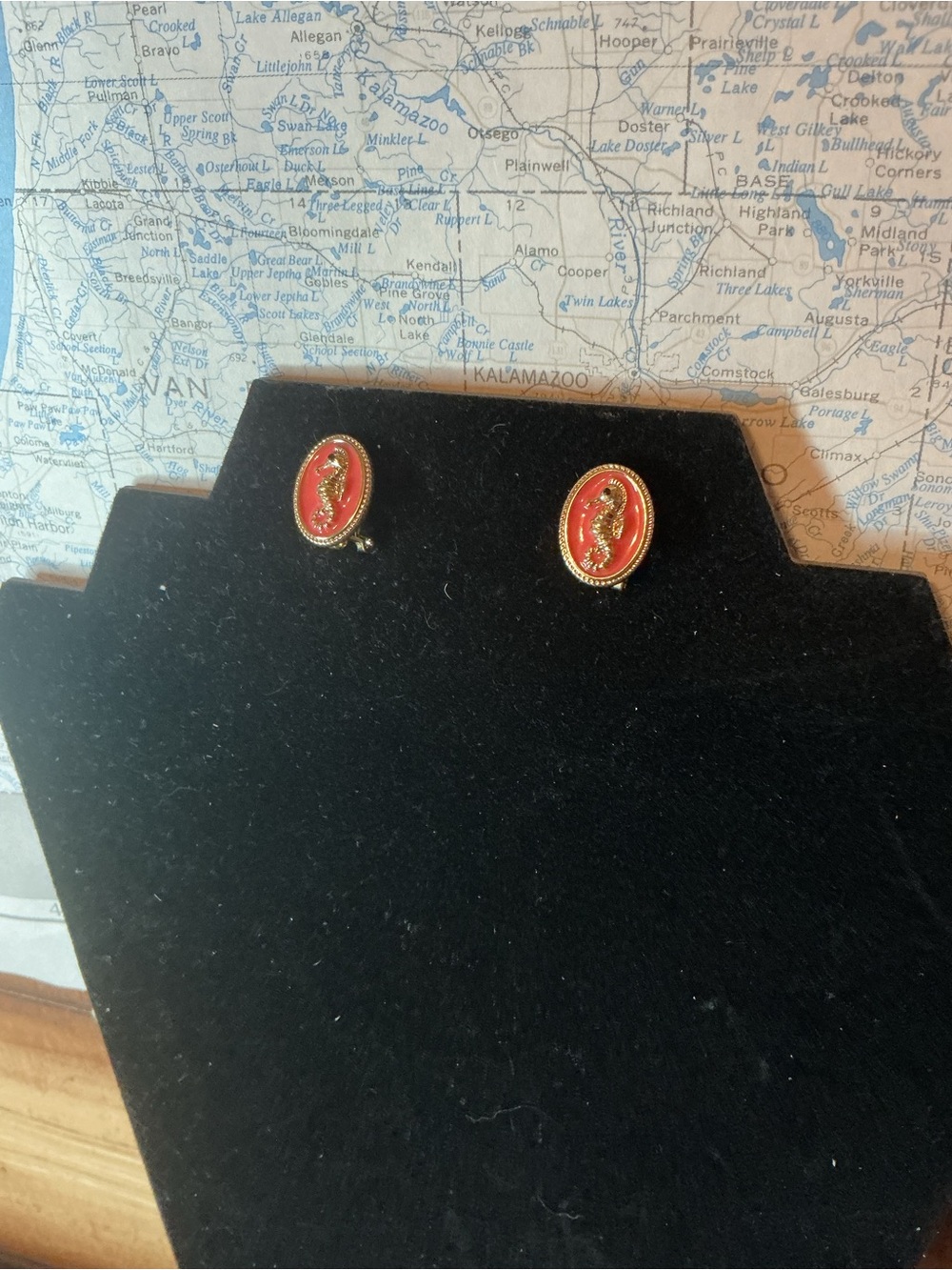 Plunder Pink Cameo Oval Stud Seahorse Earrings with Gold Trim NWT - Picture 6 of 10